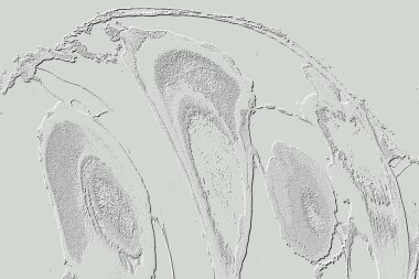 Beyaz, Kırmızı Kahverengi. Açık sarı. Hafif Cyan. Gri. Döşeme dokusu Soyut 3B Arkaplan Deseni