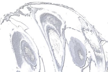 Beyaz, Kırmızı Kahverengi. Açık sarı. Hafif Cyan. Gri. Döşeme dokusu Soyut 3B Arkaplan Deseni