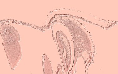 Beyaz, Kırmızı Kahverengi. Açık sarı. Hafif Cyan. Gri. Döşeme dokusu Soyut 3B Arkaplan Deseni