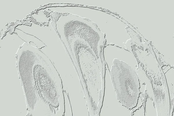 Beyaz, Kırmızı Kahverengi. Açık sarı. Hafif Cyan. Gri. Döşeme dokusu Soyut 3B Arkaplan Deseni