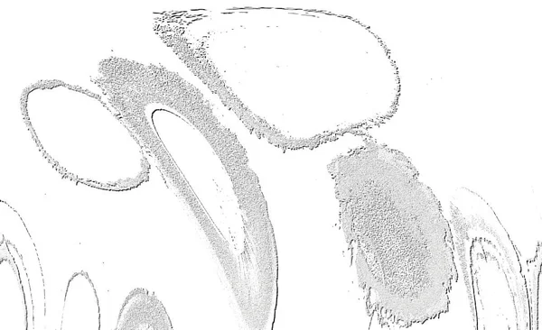 Weiß Rotbraun Hellgelb Helles Cyan Grau Fliesentextur Abstraktes Hintergrundmuster — Stockfoto