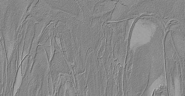 Beyaz, kırmızımsı kahverengi, soluk sarı, soluk siyan.gri. Seramik duvar ve zemin fayansları soyut arkaplan. Üç boyutlu arka plan modeli. İç dekorasyon tasarımı. Geometrik mozaik doku. Kusursuz desen.