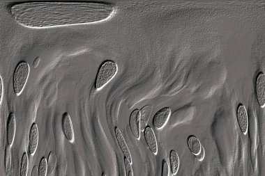 Beyaz, kırmızımsı kahverengi. Açık sarı. Hafif cyan. Gri. Pembe, siyah, seramik duvar. Döşeme kiremitleri. Soyut arkaplan. Üç boyutlu arka plan modeli. İç dekorasyon tasarımı. Geometrik mozaik doku. Kusursuz desen.