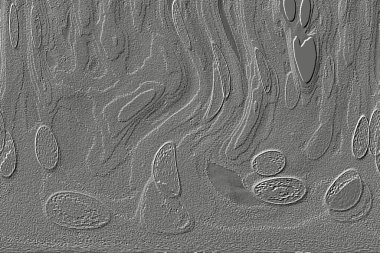 Beyaz, kırmızımsı kahverengi. Açık sarı. Hafif cyan. Gri. Pembe, siyah, seramik duvar. Döşeme kiremitleri. Soyut arkaplan. Üç boyutlu arka plan modeli. İç dekorasyon tasarımı. Geometrik mozaik doku. Kusursuz desen.