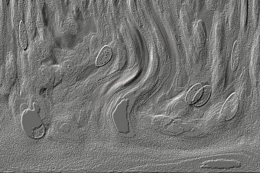 Beyaz, kırmızımsı kahverengi. Açık sarı. Hafif cyan. Gri. Pembe, siyah, seramik duvar. Döşeme kiremitleri. Soyut arkaplan. Üç boyutlu arka plan modeli. İç dekorasyon tasarımı. Geometrik mozaik doku. Kusursuz desen.
