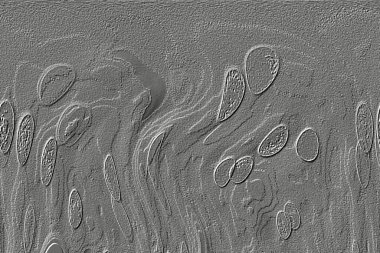 Beyaz, kırmızımsı kahverengi. Açık sarı. Hafif cyan. Gri. Pembe, siyah, seramik duvar. Döşeme kiremitleri. Soyut arkaplan. Üç boyutlu arka plan modeli. İç dekorasyon tasarımı. Geometrik mozaik doku. Kusursuz desen.