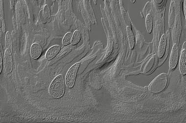 Beyaz, kırmızımsı kahverengi. Açık sarı. Hafif cyan. Gri. Pembe, siyah, seramik duvar. Döşeme kiremitleri. Soyut arkaplan. Üç boyutlu arka plan modeli. İç dekorasyon tasarımı. Geometrik mozaik doku. Kusursuz desen.