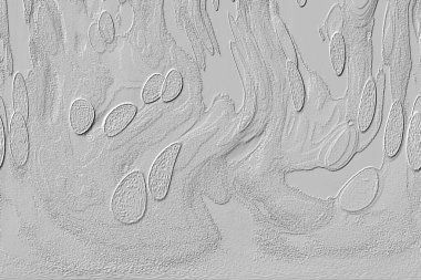 Beyaz, kırmızımsı kahverengi. Açık sarı. Hafif cyan. Gri. Pembe, siyah, seramik duvar. Döşeme kiremitleri. Soyut arkaplan. Üç boyutlu arka plan modeli. İç dekorasyon tasarımı. Geometrik mozaik doku. Kusursuz desen.