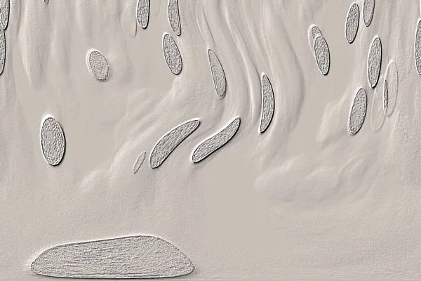 Beyaz, kırmızımsı kahverengi. Açık sarı. Hafif cyan. Gri. Pembe, siyah, seramik duvar. Döşeme kiremitleri. Soyut arkaplan. Üç boyutlu arka plan modeli. İç dekorasyon tasarımı. Geometrik mozaik doku. Kusursuz desen.