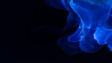 Alkol mürekkebi ve renkli soyut modern resim arka planıyla yapılmış yüksek kalite modern soyut resim..