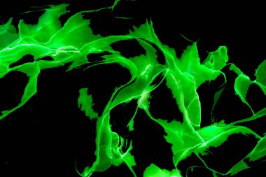 Alkol mürekkebi teknikli doğal akışkan resim. Yumuşak rüya renkleri şeffaf dalgalı çizgiler oluşturur.