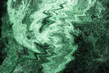 Hayattaki yaratıcı çizimler. Tasarımcılar için renkli ve güzel arkaplan modelleri.