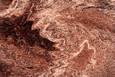 Hayattaki yaratıcı çizimler. Tasarımcılar için renkli ve güzel arkaplan modelleri.