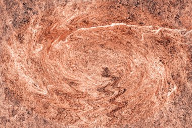 Hayattaki yaratıcı çizimler. Tasarımcılar için renkli ve güzel arkaplan modelleri.