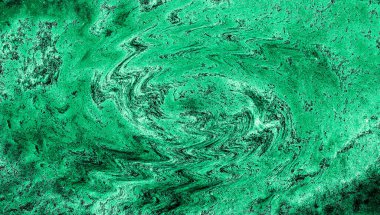 Hayattaki yaratıcı çizimler. Tasarımcılar için renkli ve güzel arkaplan modelleri.