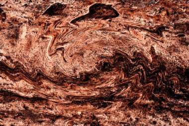 Hayattaki yaratıcı çizimler. Tasarımcılar için renkli ve güzel arkaplan modelleri.