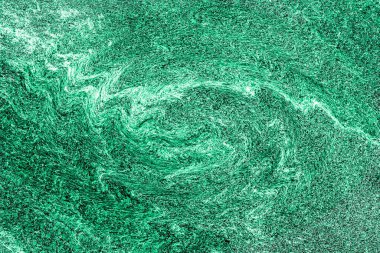 Hayattaki yaratıcı çizimler. Tasarımcılar için renkli ve güzel arkaplan modelleri.