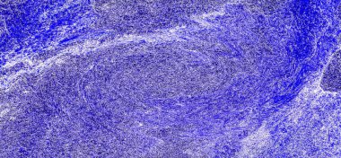 Hayattaki yaratıcı çizimler. Tasarımcılar için renkli ve güzel arkaplan modelleri.