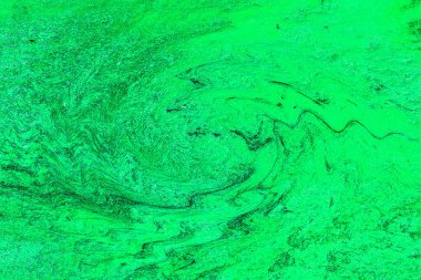 Hayattaki yaratıcı çizimler. Tasarımcılar için renkli ve güzel arkaplan modelleri.