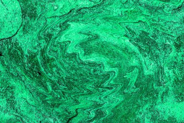 Hayattaki yaratıcı çizimler. Tasarımcılar için renkli ve güzel arkaplan modelleri.