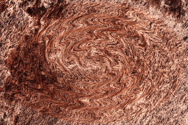 Hayattaki yaratıcı çizimler. Tasarımcılar için renkli ve güzel arkaplan modelleri.