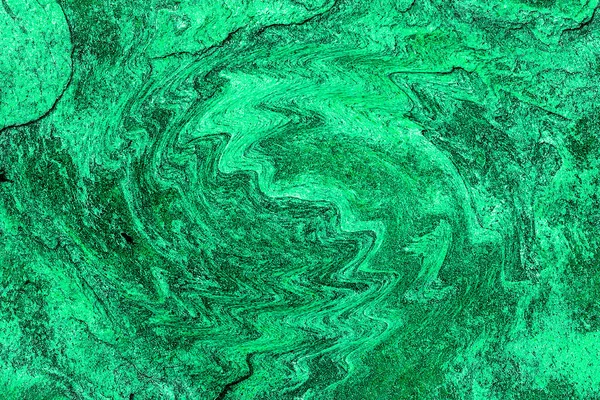 Hayattaki yaratıcı çizimler. Tasarımcılar için renkli ve güzel arkaplan modelleri.