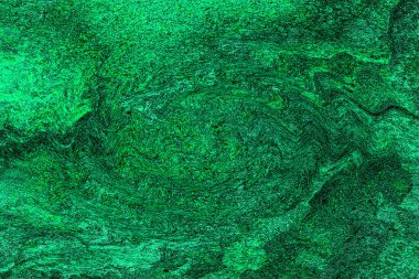 Hayattaki yaratıcı çizimler. Tasarımcılar için renkli ve güzel arkaplan modelleri.