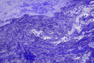 Hayattaki yaratıcı çizimler. Tasarımcılar için renkli ve güzel arkaplan modelleri.