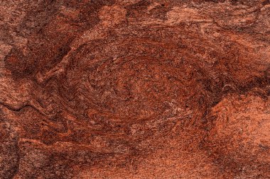 Hayattaki yaratıcı çizimler. Tasarımcılar için renkli ve güzel arkaplan modelleri.