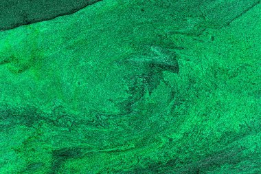 Hayattaki yaratıcı çizimler. Tasarımcılar için renkli ve güzel arkaplan modelleri.