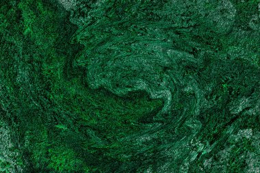 Hayattaki yaratıcı çizimler. Tasarımcılar için renkli ve güzel arkaplan modelleri.