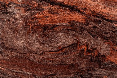 Hayattaki yaratıcı çizimler. Tasarımcılar için renkli ve güzel arkaplan modelleri.