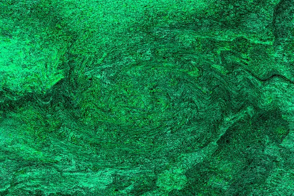 Hayattaki yaratıcı çizimler. Tasarımcılar için renkli ve güzel arkaplan modelleri.