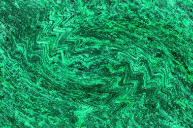 Hayattaki yaratıcı çizimler. Tasarımcılar için renkli ve güzel arkaplan modelleri.