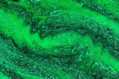 Hayattaki yaratıcı çizimler. Tasarımcılar için renkli ve güzel arkaplan modelleri.