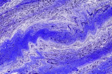 Hayattaki yaratıcı çizimler. Tasarımcılar için renkli ve güzel arkaplan modelleri.