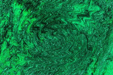 Hayattaki yaratıcı çizimler. Tasarımcılar için renkli ve güzel arkaplan modelleri.