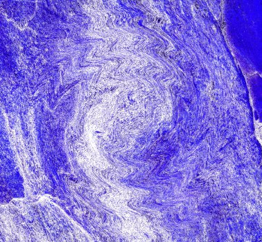 Hayattaki yaratıcı çizimler. Tasarımcılar için renkli ve güzel arkaplan modelleri.