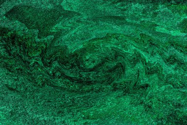 Hayattaki yaratıcı çizimler. Tasarımcılar için renkli ve güzel arkaplan modelleri.