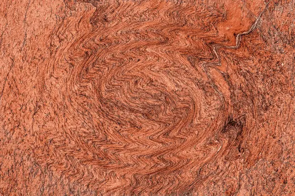 Hayattaki yaratıcı çizimler. Tasarımcılar için renkli ve güzel arkaplan modelleri.