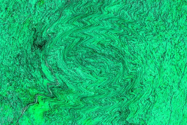 Hayattaki yaratıcı çizimler. Tasarımcılar için renkli ve güzel arkaplan modelleri.