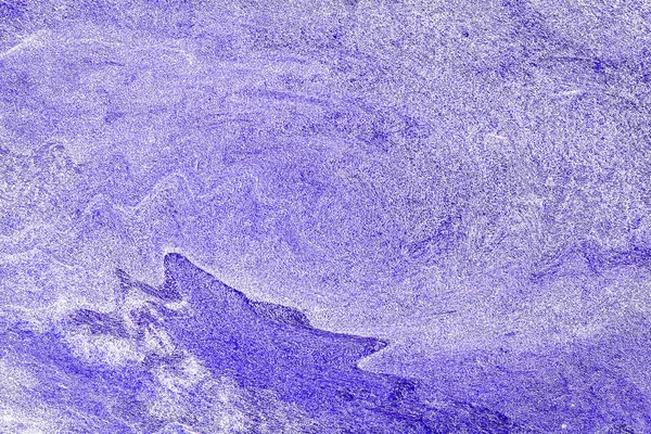 Hayattaki yaratıcı çizimler. Tasarımcılar için renkli ve güzel arkaplan modelleri.