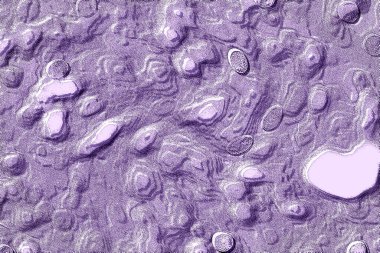 İç ev dekorasyonu için Duvar Dekor, Banyo için Seramik Karo Tasarımı. seramik karo, duvar kağıdı, muşya, tekstil, web sayfası arka plan için kullanılabilir.