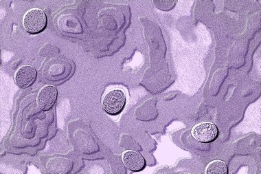 İç ev dekorasyonu için Duvar Dekor, Banyo için Seramik Karo Tasarımı. seramik karo, duvar kağıdı, muşya, tekstil, web sayfası arka plan için kullanılabilir.