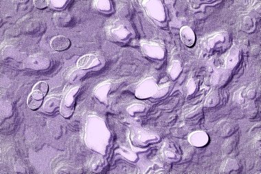 İç ev dekorasyonu için Duvar Dekor, Banyo için Seramik Karo Tasarımı. seramik karo, duvar kağıdı, muşya, tekstil, web sayfası arka plan için kullanılabilir.