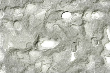 İç ev dekorasyonu için Duvar Dekor, Banyo için Seramik Karo Tasarımı. seramik karo, duvar kağıdı, muşya, tekstil, web sayfası arka plan için kullanılabilir.