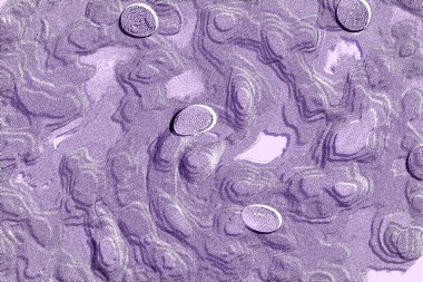 İç ev dekorasyonu için Duvar Dekor, Banyo için Seramik Karo Tasarımı. seramik karo, duvar kağıdı, muşya, tekstil, web sayfası arka plan için kullanılabilir.