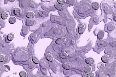 İç ev dekorasyonu için Duvar Dekor, Banyo için Seramik Karo Tasarımı. seramik karo, duvar kağıdı, muşya, tekstil, web sayfası arka plan için kullanılabilir.