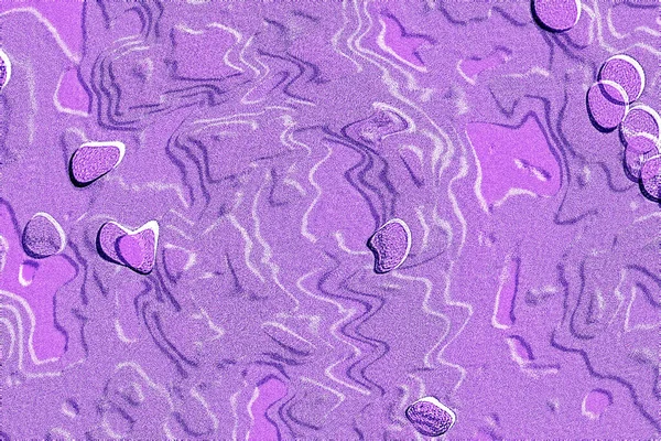 İç ev dekorasyonu için Duvar Dekor, Banyo için Seramik Karo Tasarımı. seramik karo, duvar kağıdı, muşya, tekstil, web sayfası arka plan için kullanılabilir.