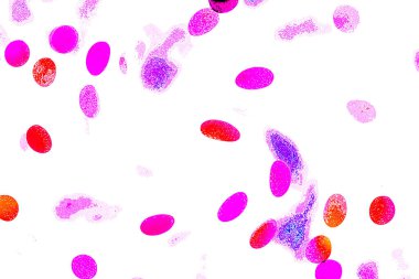 Soyut ışık. Bokeh arkaplan, vektör çizimi. Büyülü renkler. Neşe. Renkli bokeh. Bahar. Özet